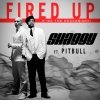 Shaggy feat. Pitbull Fired Up F*ck the Recession new 2011 single cover