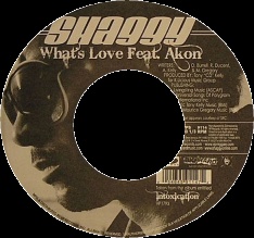 Shaggy Akon What's Love vinyl single cover