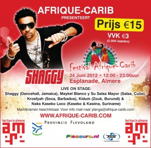 Festival Afrique-Carib 2012
