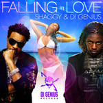 Shaggy & Stephen Di Genius McGregor new 2012 song Falling in Love single cover