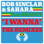 Bob Sinclar & Sahara feat. Shaggy I Wanna The Remixes Italian remix single cd album Sylvain Armand vocal remix