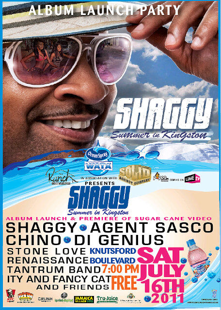 cool flyer for Shaggy